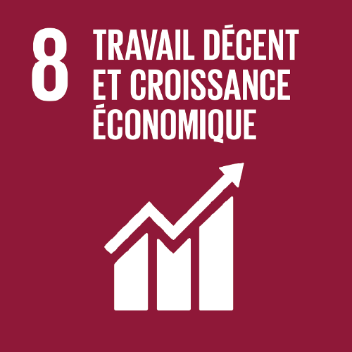 ODD 8 — Travail décent et croissance économique